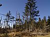 DSC05966.jpg